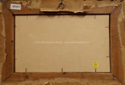  / Rozkvetlá stráň /  Nečitelná signatura