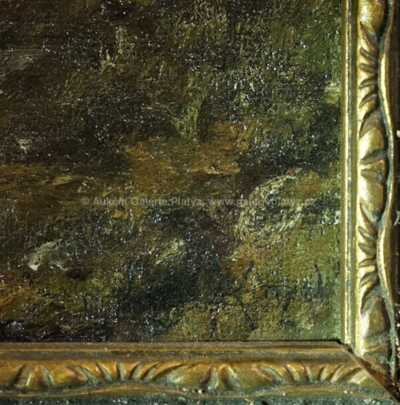  / Rozkvetlá stráň /  Nečitelná signatura