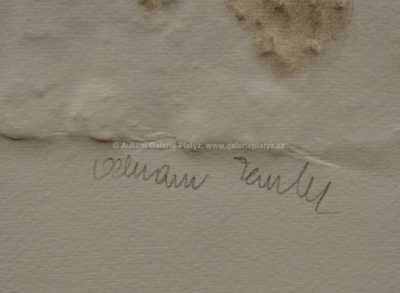  / Vlasatice pravá a levá / Olbram Zoubek