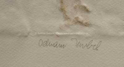  / Vlasatice pravá a levá / Olbram Zoubek