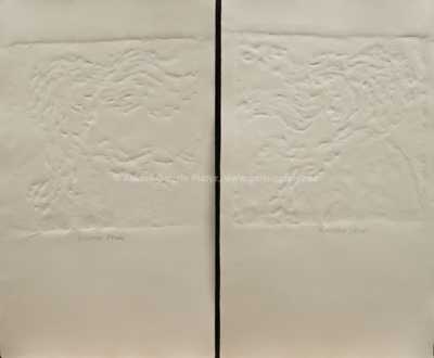  / Vlasatice pravá a levá / Olbram Zoubek