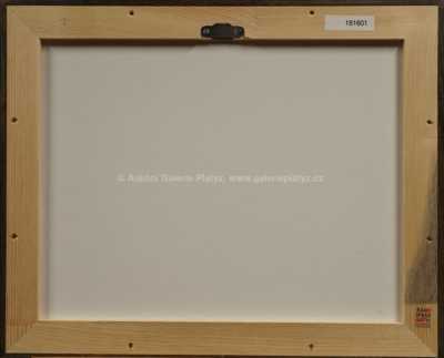  / Nábřeží v Paříži / František Tavík Šimon