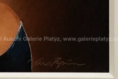  / Dívka s perlou / Jan Rapin