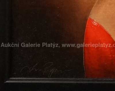  / Dívka s perlou I. / Jan Rapin