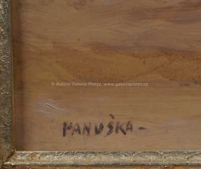  / Zima na vsi / Jaroslav Panuška