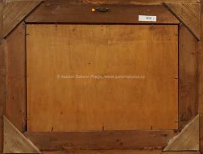  / Pozdní podzim u Zbraslavi / Karel Pospíšil