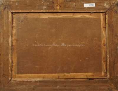  / Pobřežní ostrůvky / František Cína - Jelínek