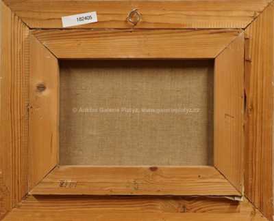  / Bledule / Julie Mezerová-Winterová