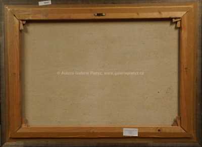  / Modré kvítky / Julie Mezerová-Winterová