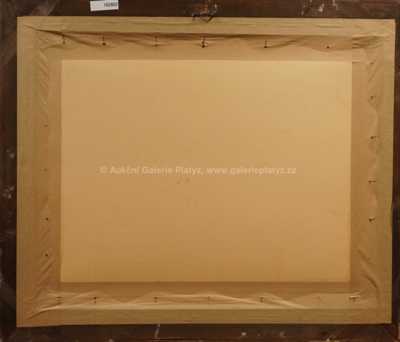  / Stavení u rybníka / Josef Ullmann