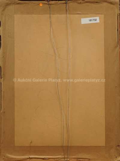  / Hlava černocha / František  Tichý