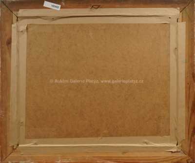  / Plachetnice / Bedřich  Feigl