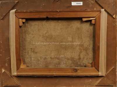  / Cesta k vodě / Josef Hubáček