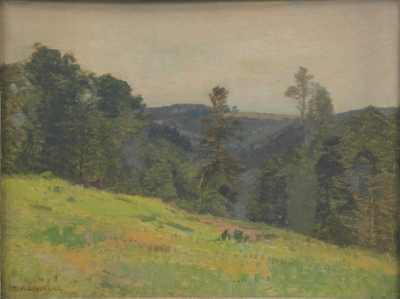  / Stráň u lesa / Roman Havelka