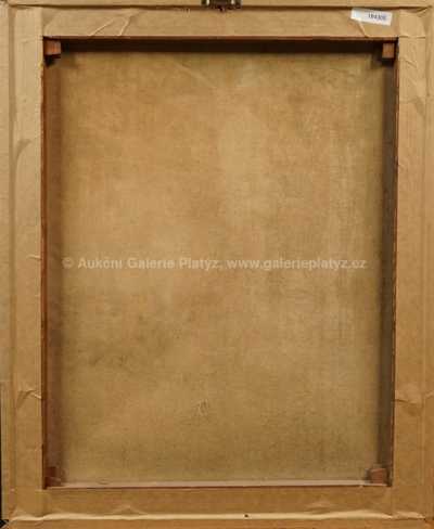  / Dům na vršku / Antonín Michalčík