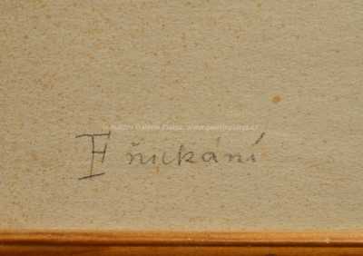  / Fňukání / Alex Vladimír Hrska