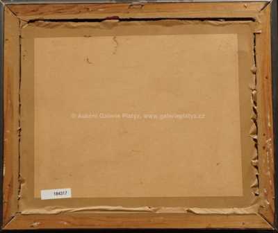  / Na jezu / Jan Plíva