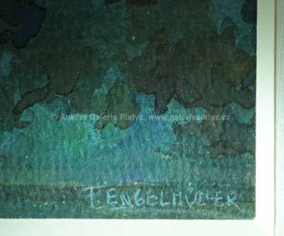  / Les / Ferdinand Engelmüller