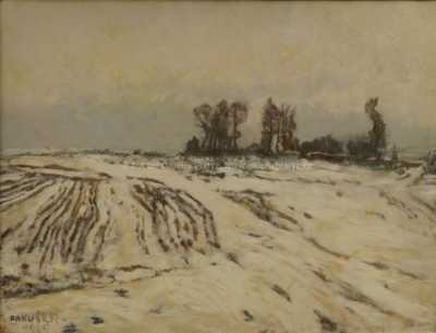  / Pole v zimě / Jaroslav Panuška