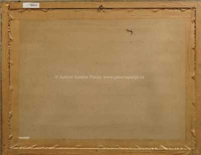  / Dívka v šátku / Vincent Plesnivý