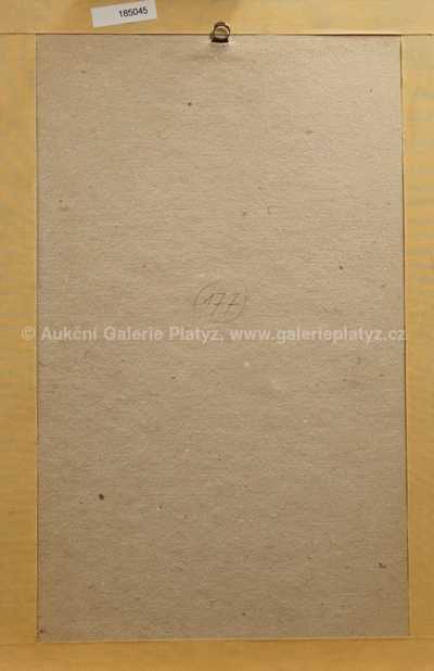  / Giuseppe Arcimboldo / Zdeněk Sklenář