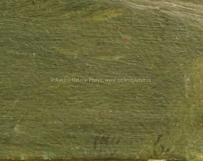  / Jezero Atterzské od Steinbachu / Jan  Novopacký