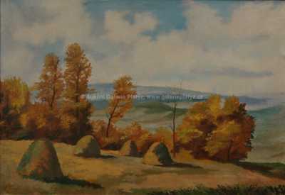  / Zdechovická skála / Vladimír Komárek