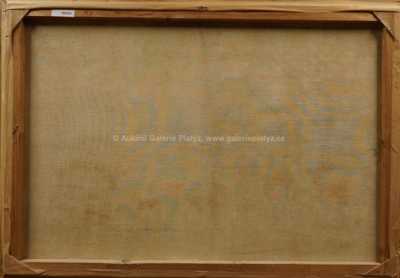  / Zdechovická skála / Vladimír Komárek