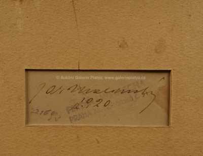  / Dívčí akt / Jaroslav Malinský