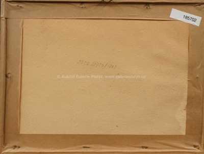  / Šumava / Josef Krejsa