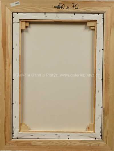  / Týnský chrám / František Ringo Čech