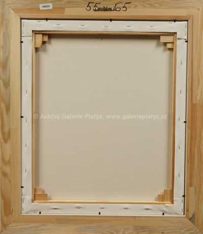  / Pražské slečny a Miss Brno / František Ringo Čech