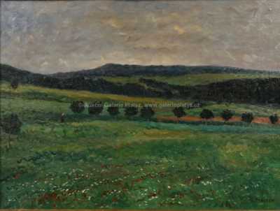  / Ráno u Nezdic / Gustav Macoun