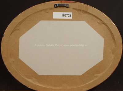  / Pohled na Ústí / Ernst Gustav Doerell junior