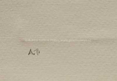  / Astrologie / Olbram Zoubek