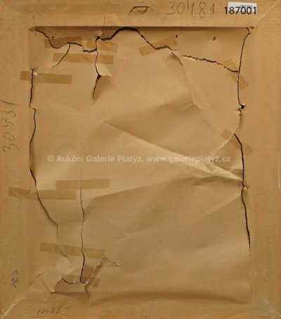  / Akt / Karel Špillar