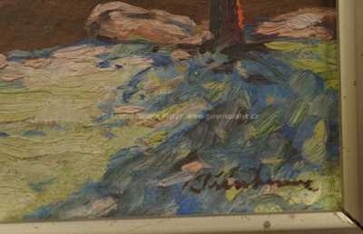  / Tůňka na potoce / Jaroslav Trinkmoc