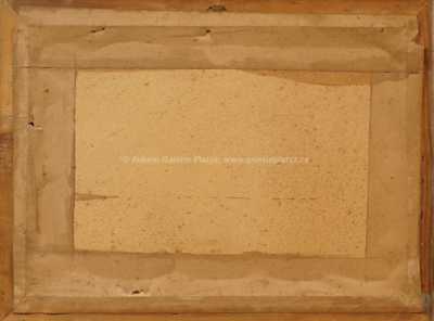  / Tůňka na potoce / Jaroslav Trinkmoc