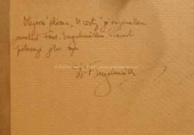  / U cesty / Ferdinand Engelmüller