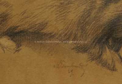  / Studie jezevce / Max Švabinský