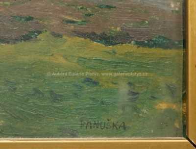  / Vřesoviště s lesíkem / Jaroslav Panuška
