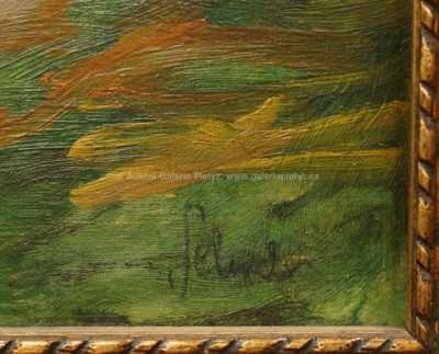  / Mezi roubenkami / Karel Schadt