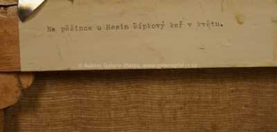  / Šípkový keř v květu / Gustav  Porš