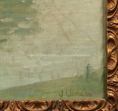  / Smuteční vrby / Josef Ullmann