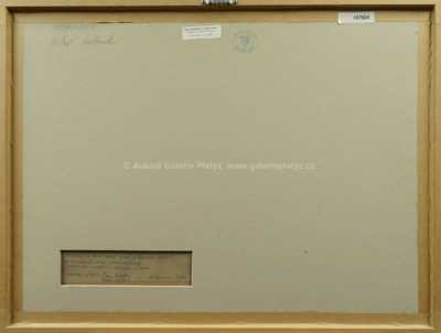  / Hlava na červeném pozadí / Václav Rožánek