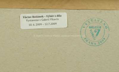  / Hlava na červeném pozadí / Václav Rožánek