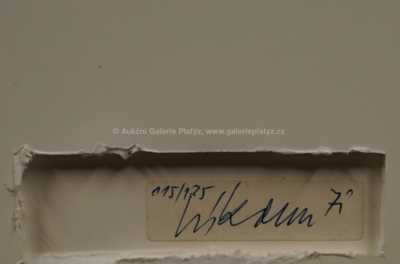  / Zelenomodrá struktura / Zdeněk Sýkora