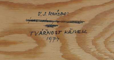  / Tvářnost křivek / Vladimír Jan Hnízdo