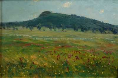  / Rozkvetlá louka / František Kaván