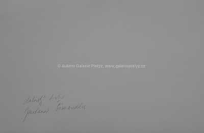  / Konvolut dvou kusů / Jaroslav Šimandl